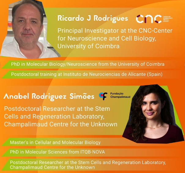 Sessão de Encerramento